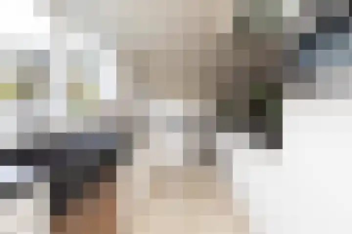 Noardein 91 Oppenhuizen thumbnail 13