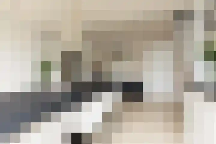 Noardein 91 Oppenhuizen thumbnail 15