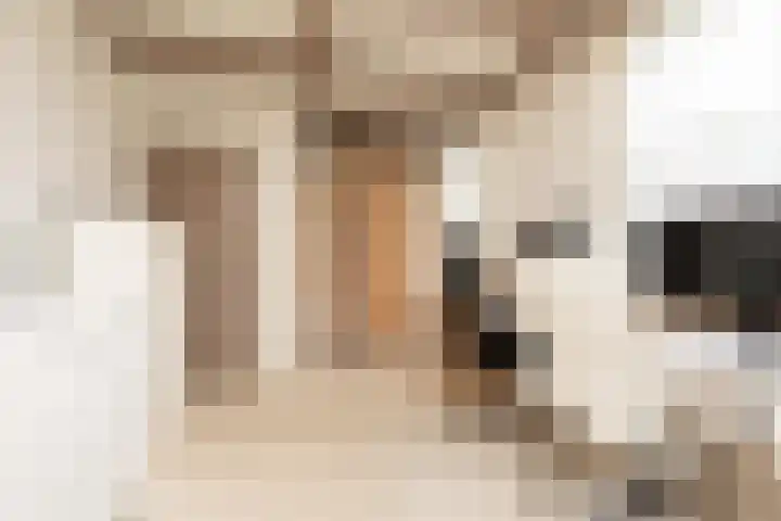 Noardein 91 Oppenhuizen thumbnail 19