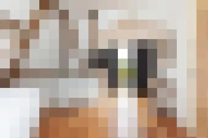 Noardein 91 Oppenhuizen thumbnail 23