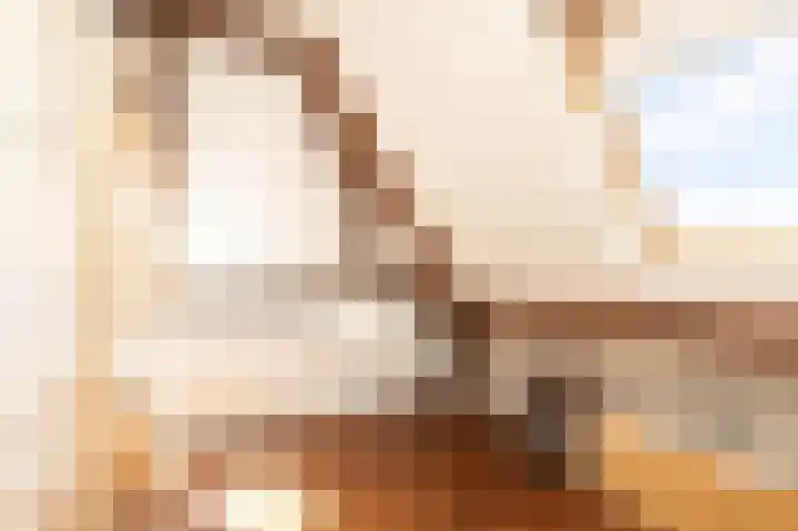 Noardein 91 Oppenhuizen thumbnail 30