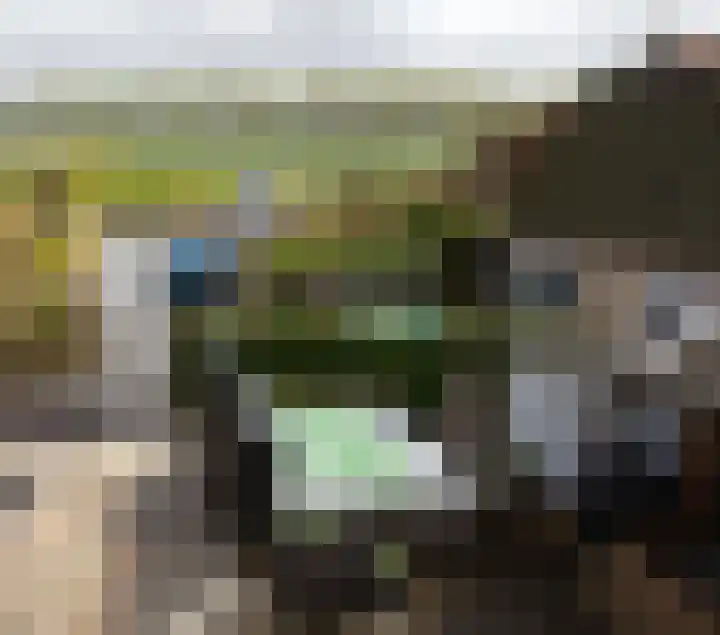 Noardein 91 Oppenhuizen thumbnail 34