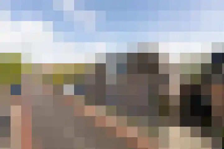 Noardein 91 Oppenhuizen thumbnail 47
