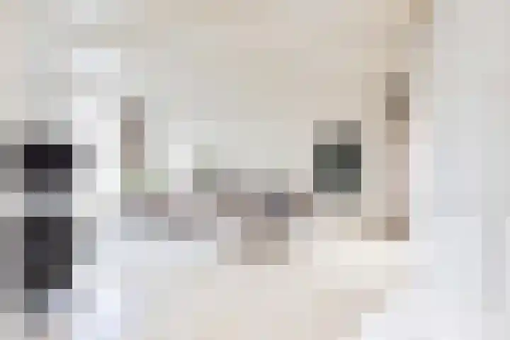 Noardein 91 Oppenhuizen thumbnail 7
