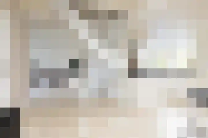 Noardein 91 Oppenhuizen thumbnail 8