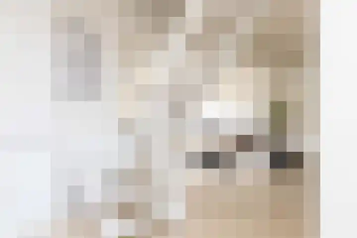 Noardein 91 Oppenhuizen thumbnail 9