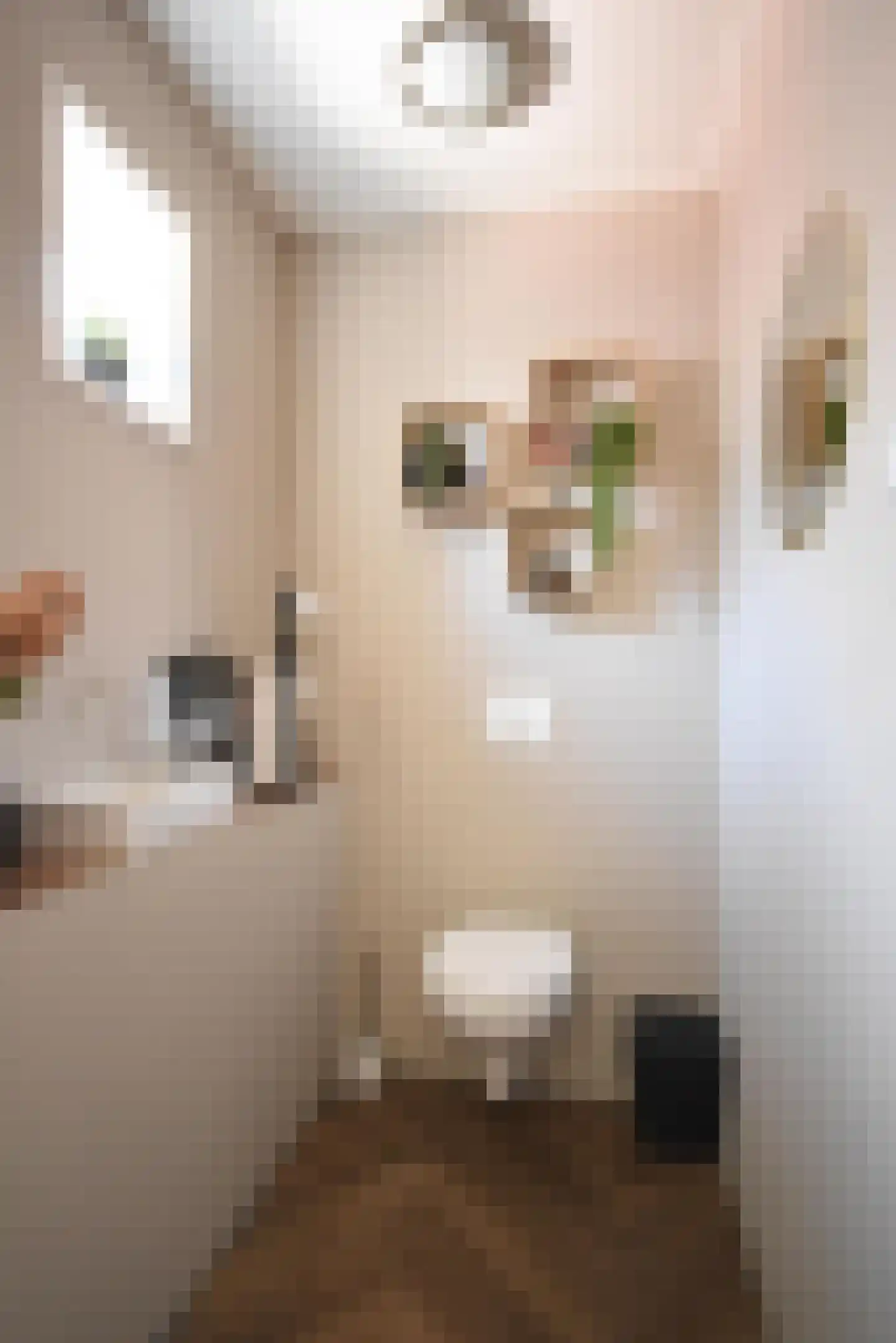 Noarder Stasjonsstrjitte 59 De Westereen thumbnail 24