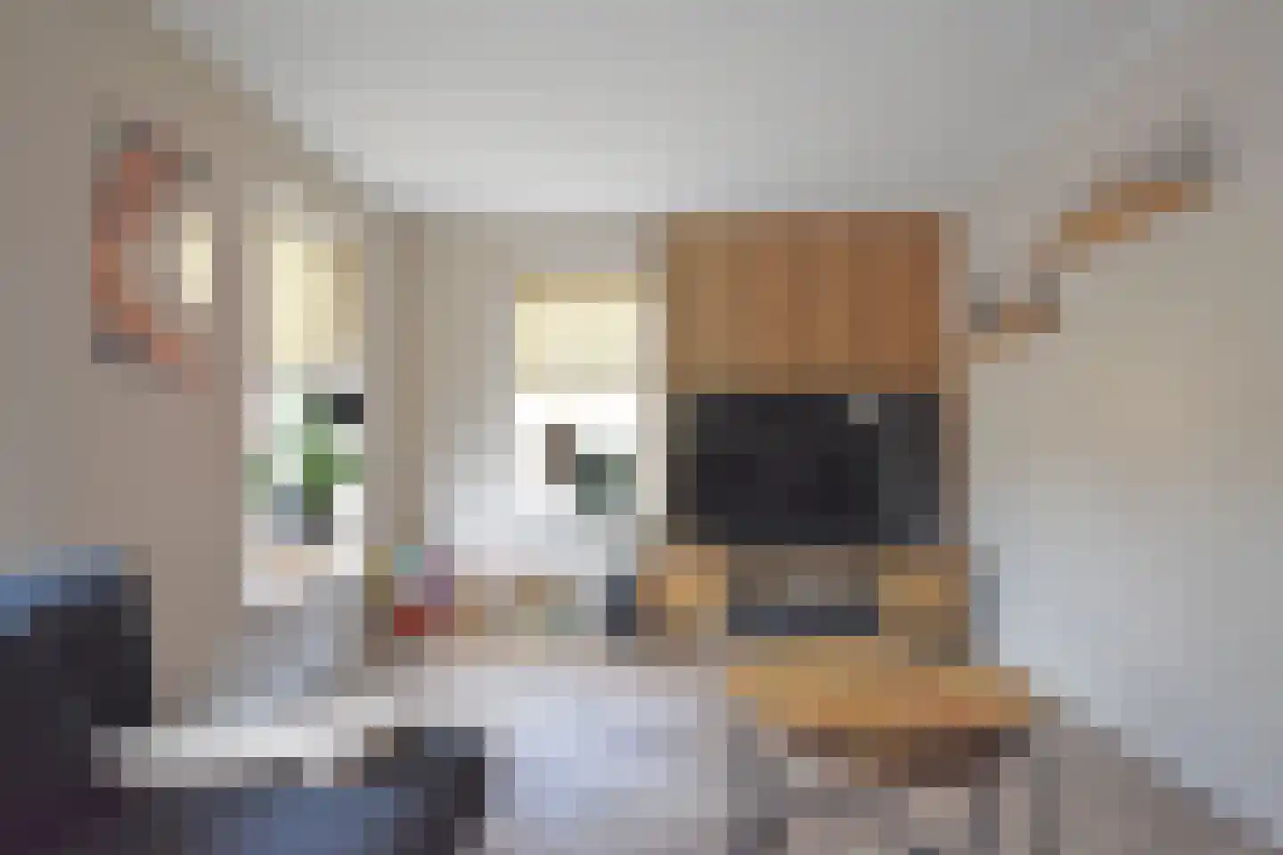 Noarder Stasjonsstrjitte 59 De Westereen thumbnail 28