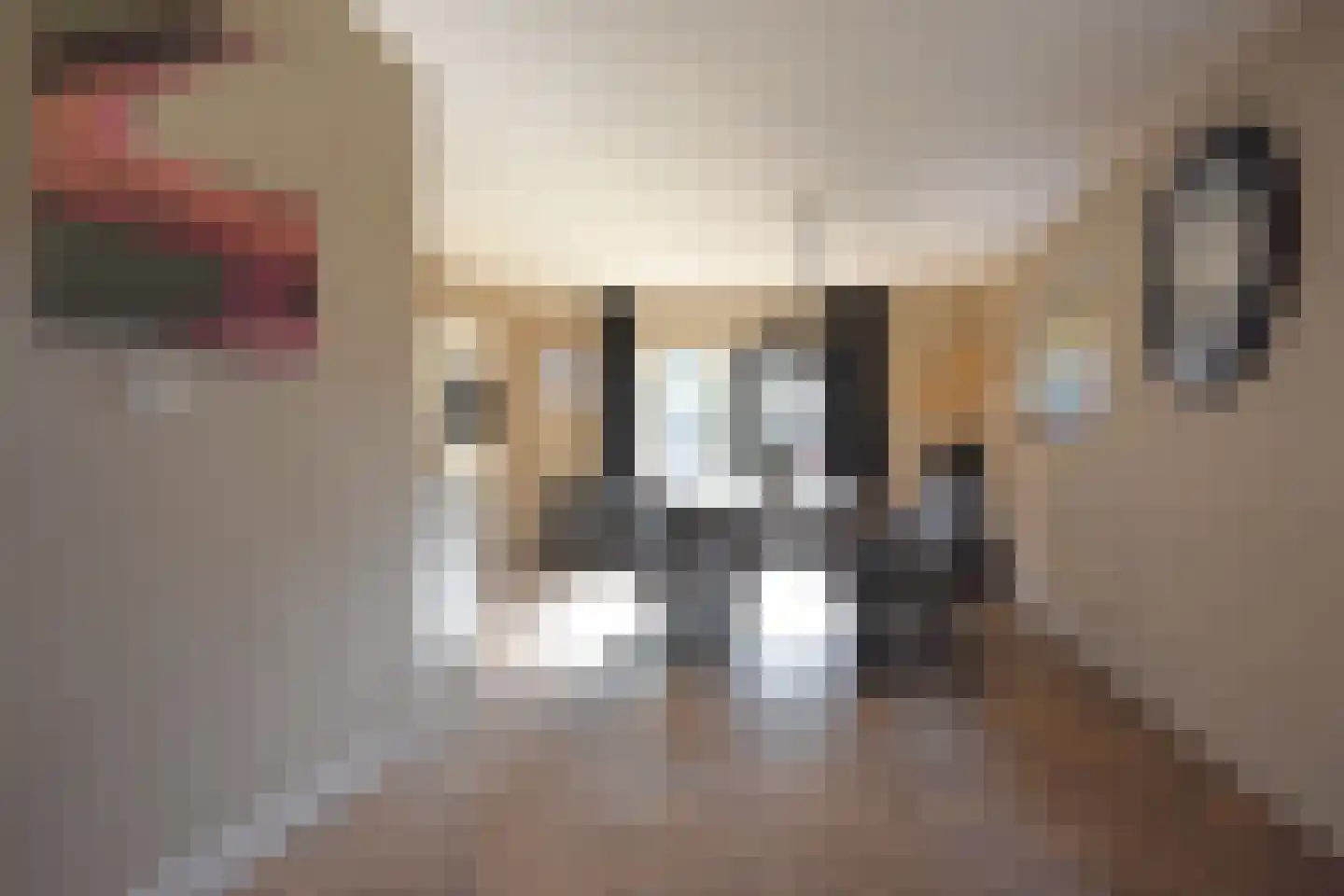 Noarder Stasjonsstrjitte 59 De Westereen thumbnail 33
