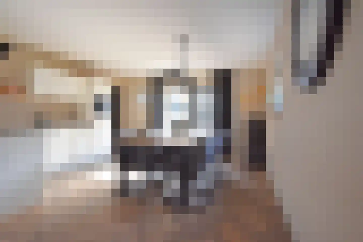 Noarder Stasjonsstrjitte 59 De Westereen thumbnail 34
