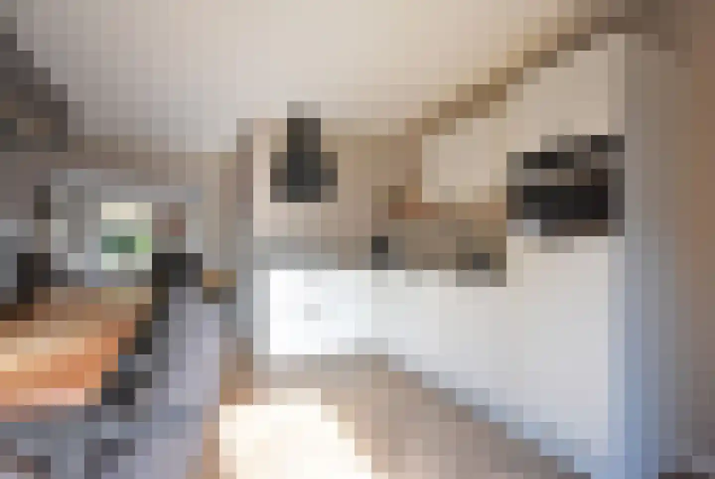 Noarder Stasjonsstrjitte 59 De Westereen thumbnail 36