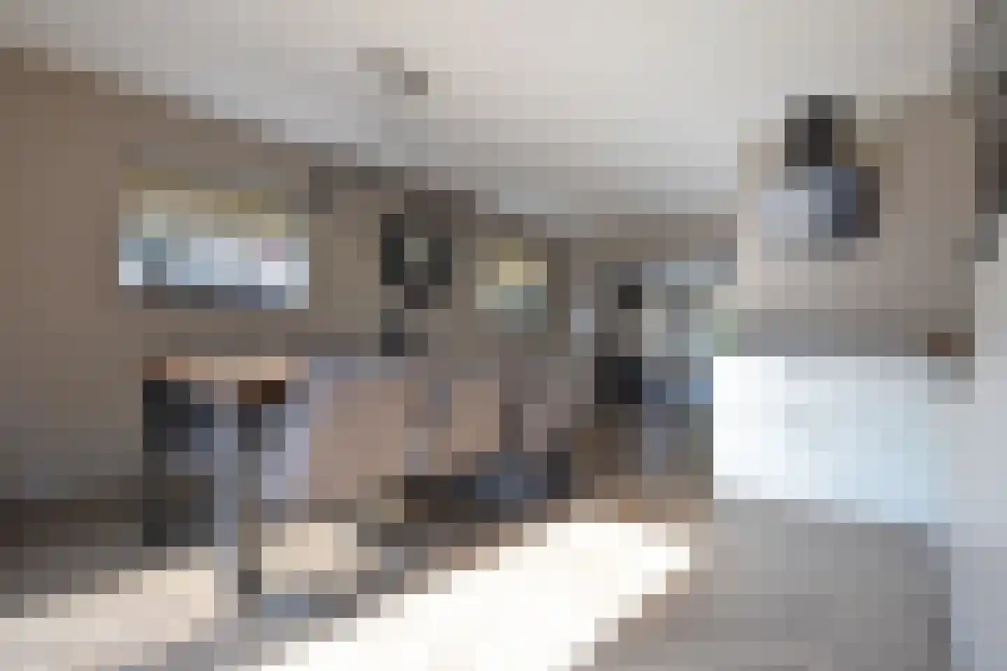 Noarder Stasjonsstrjitte 59 De Westereen thumbnail 37