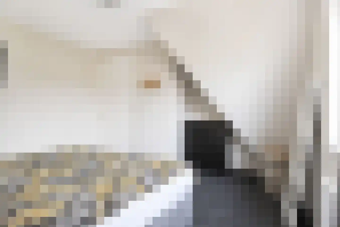 Noarder Stasjonsstrjitte 59 De Westereen thumbnail 44