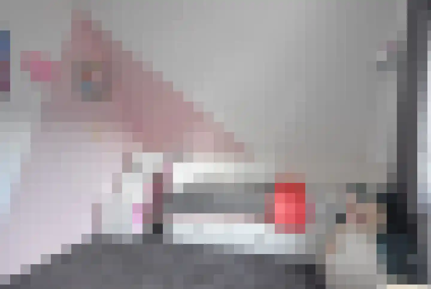 Noarder Stasjonsstrjitte 59 De Westereen thumbnail 46