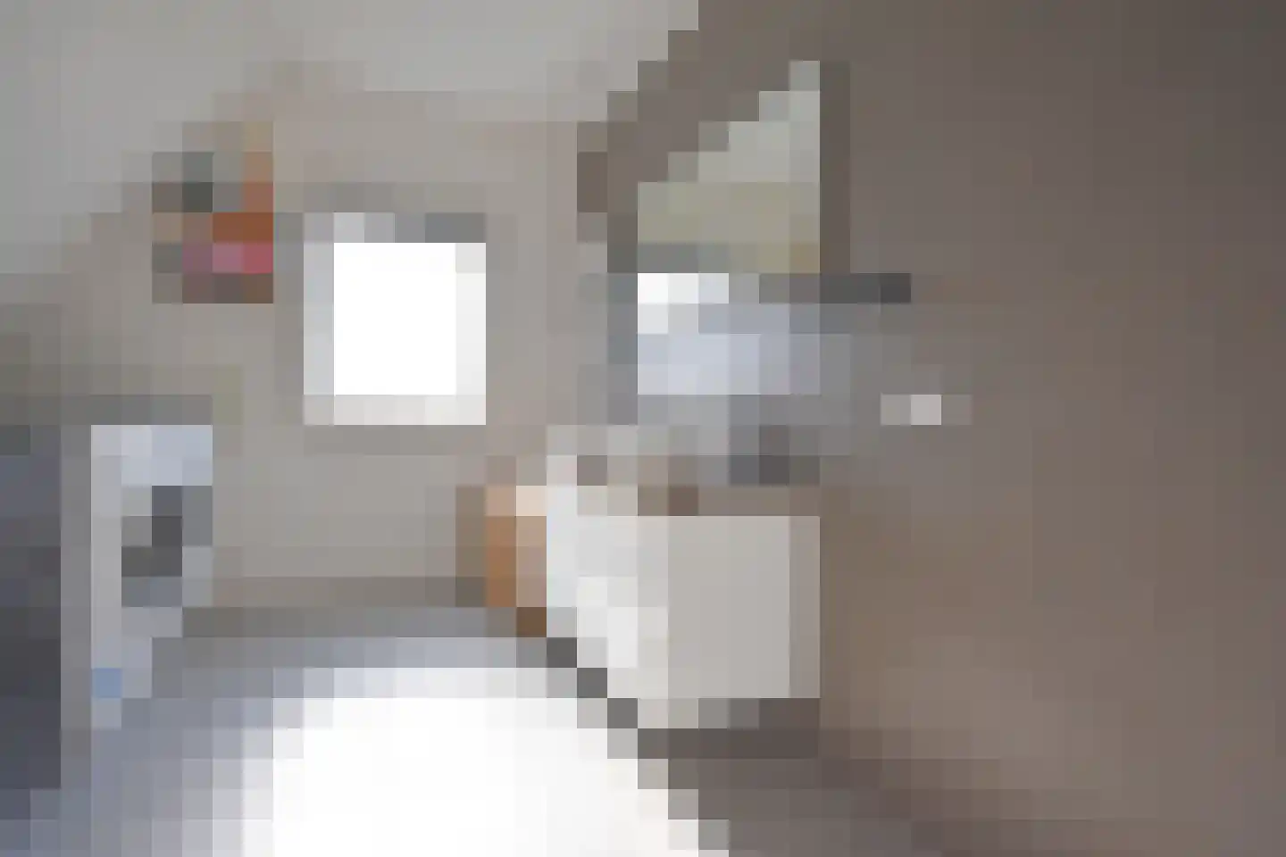 Noarder Stasjonsstrjitte 59 De Westereen thumbnail 51