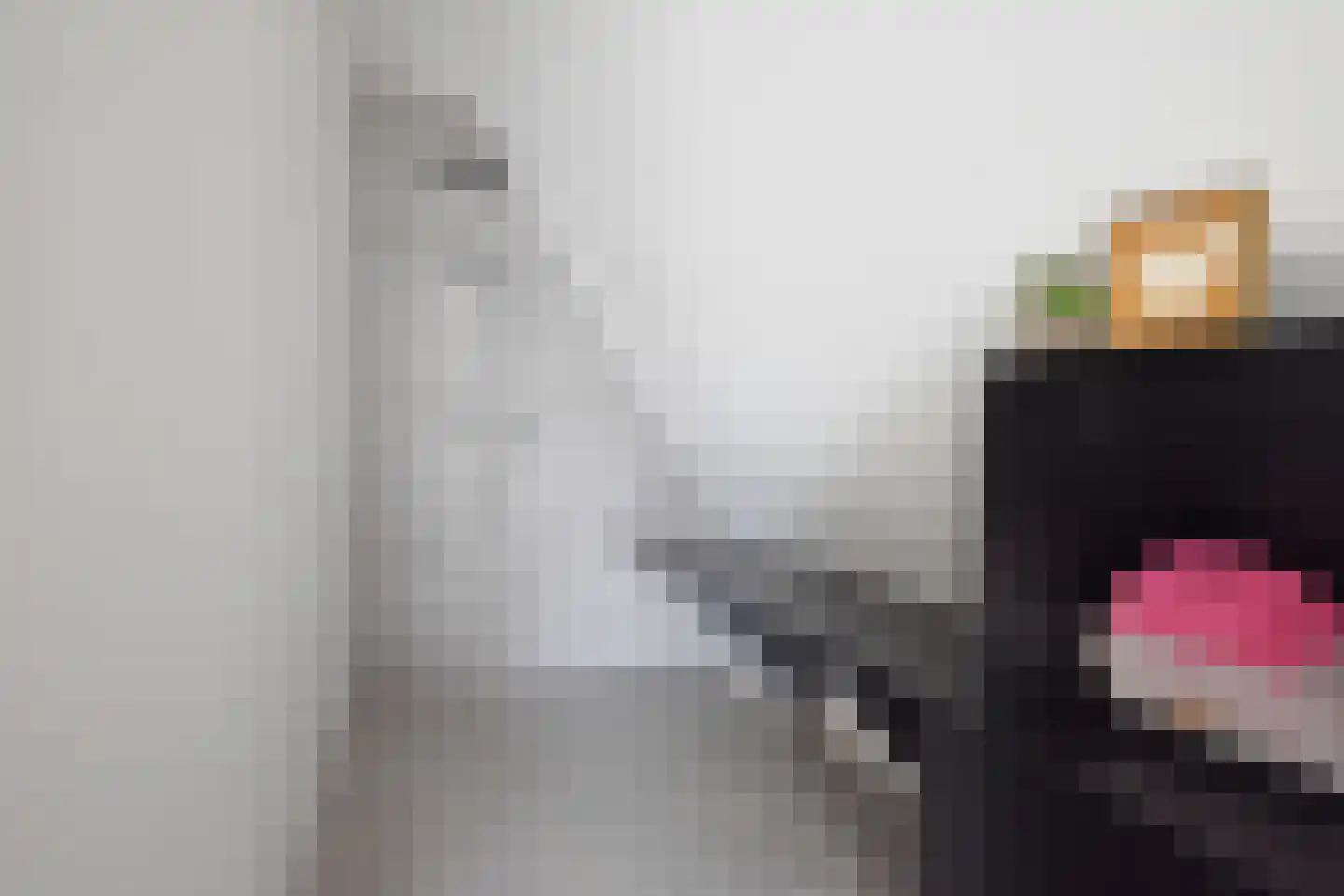 Noarder Stasjonsstrjitte 59 De Westereen thumbnail 54