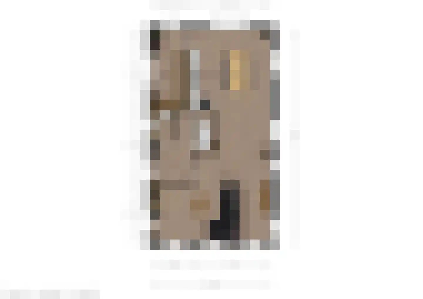 Noarder Stasjonsstrjitte 59 De Westereen thumbnail 63