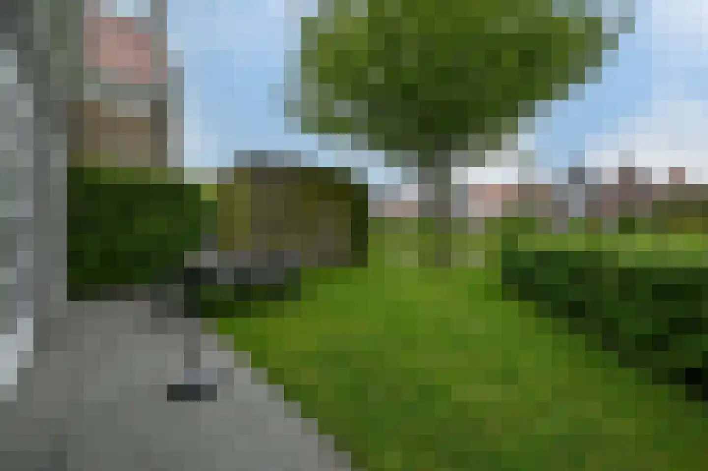 Noarderskâns 9 126 Eanjum thumbnail 23