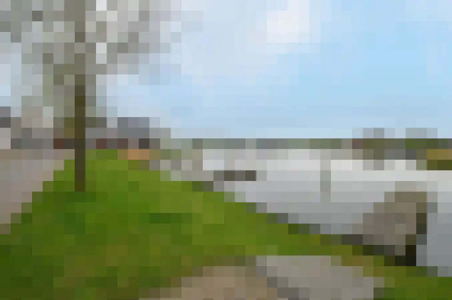 Noarderskâns 9 126 Eanjum thumbnail 26
