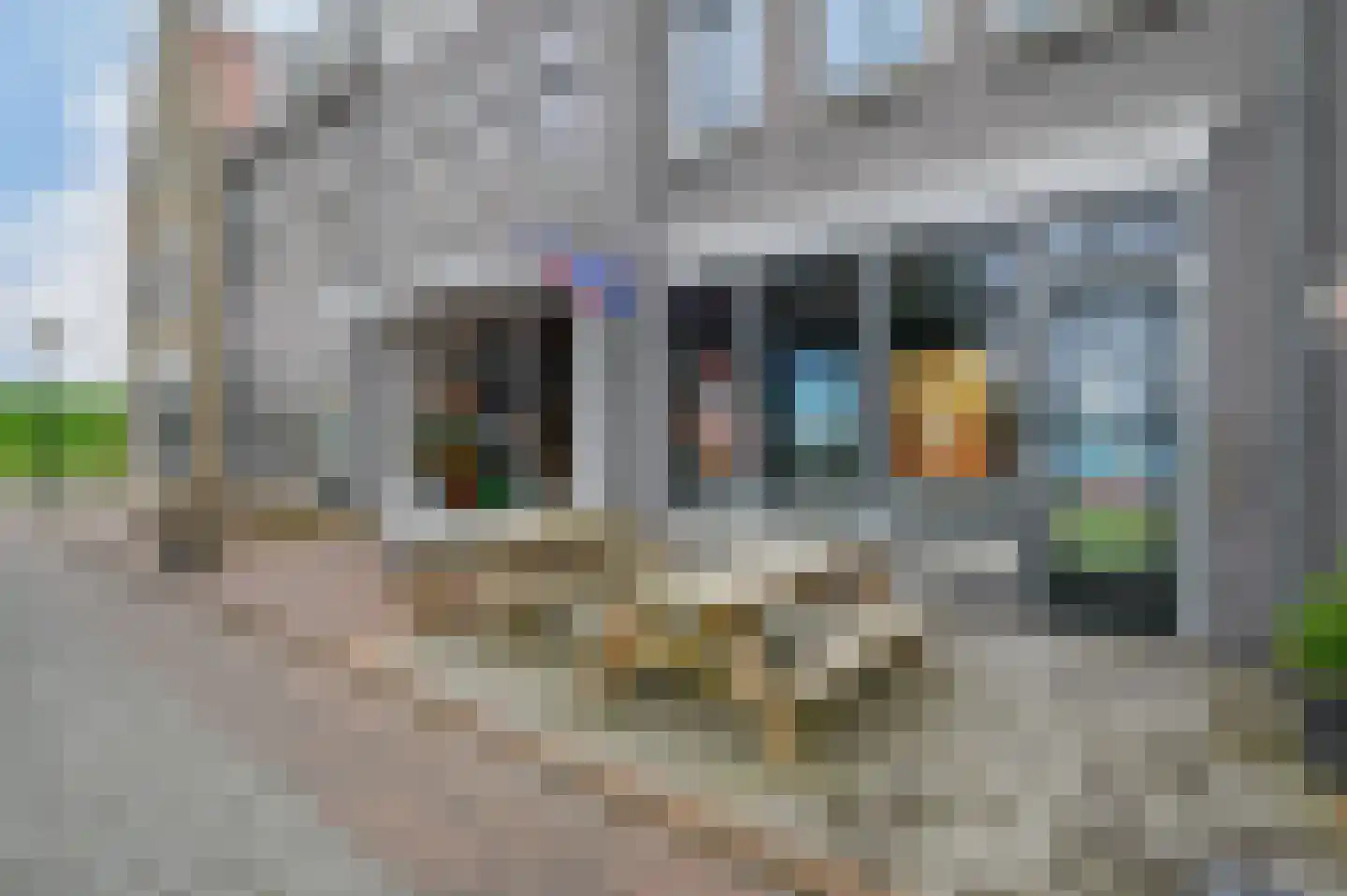 Noarderskâns 9 126 Eanjum thumbnail 32