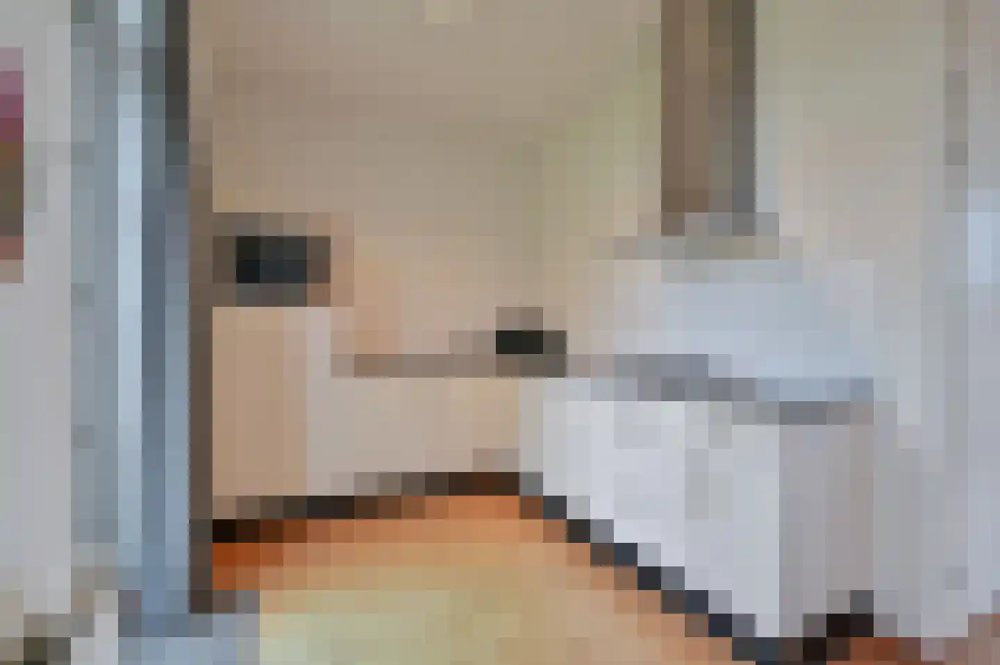Noarderskâns 9 126 Eanjum thumbnail 8