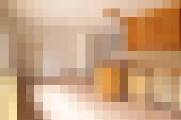 Noarderwei 10 Nes thumbnail 15