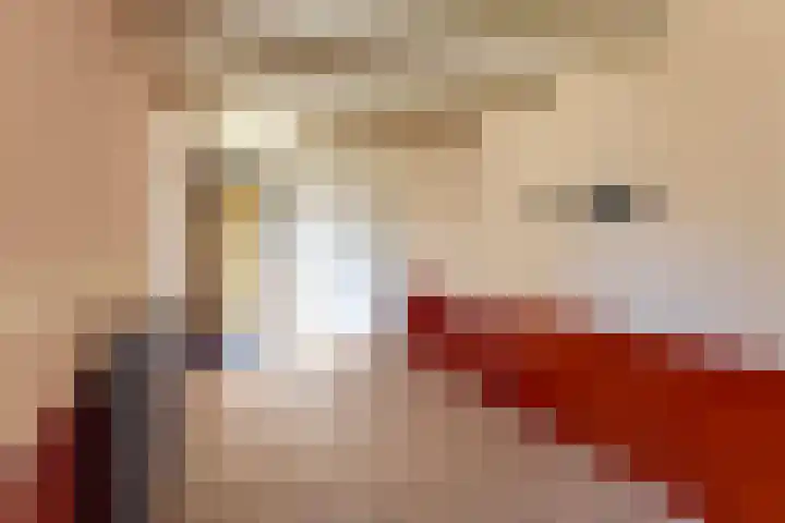 Noarderwei 10 Nes thumbnail 17