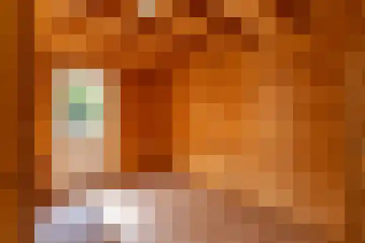 Noarderwei 10 Nes thumbnail 18