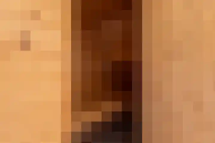Noarderwei 10 Nes thumbnail 28