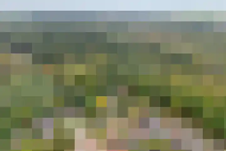 Noarderwei 10 Nes thumbnail 31