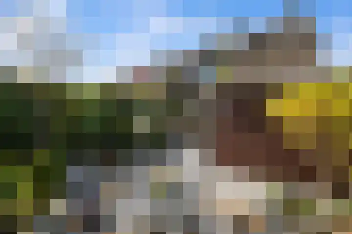 Noarderwei 10 Nes thumbnail 36