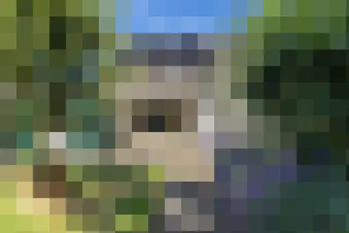 Noarderwei 10 Nes thumbnail 36
