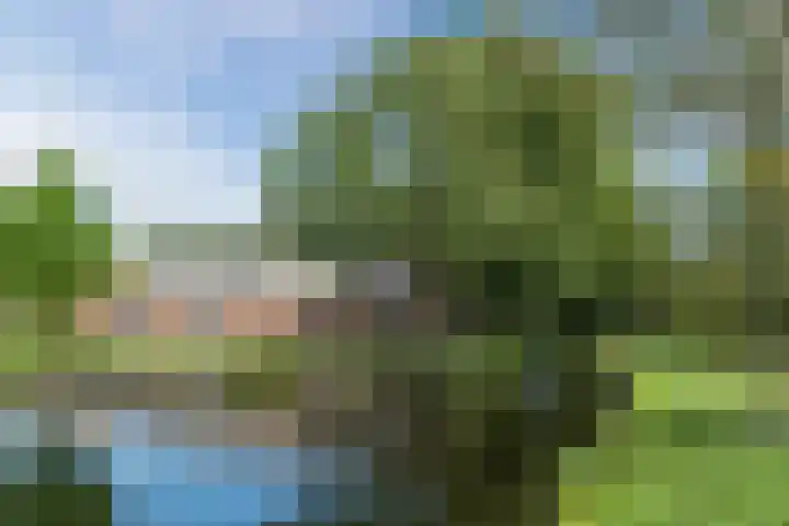 Noarderwei 10 Nes thumbnail 37