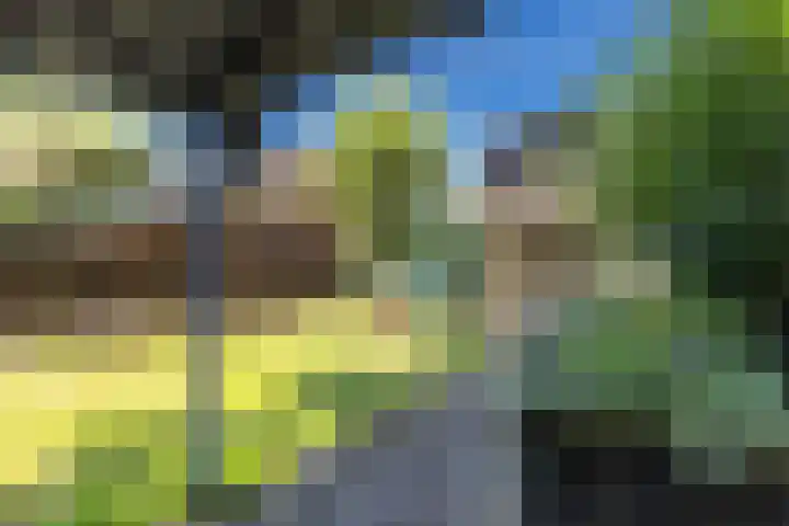 Noarderwei 10 Nes thumbnail 38