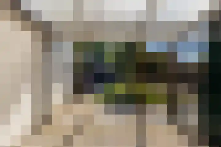 Noarderwei 10 Nes thumbnail 39