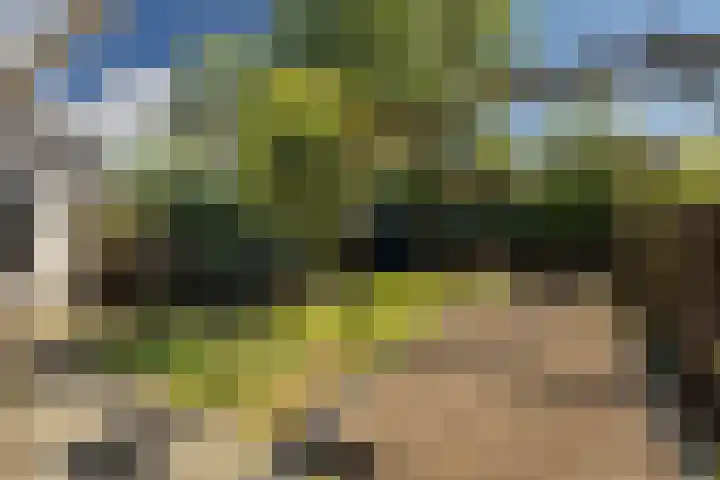 Noarderwei 10 Nes thumbnail 40