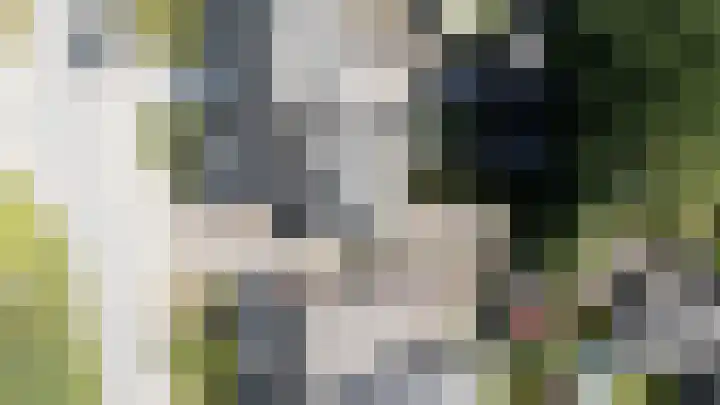 Noarderwei 10 Nes thumbnail 47
