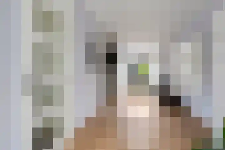 Noardkamp 1 Bakkeveen thumbnail 13