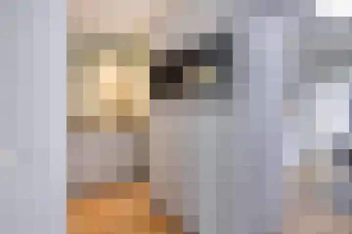 Noardkamp 1 Bakkeveen thumbnail 16