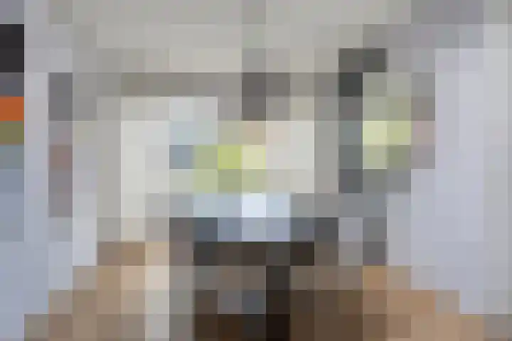 Noardkamp 1 Bakkeveen thumbnail 20