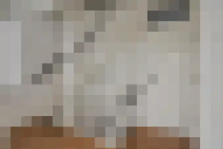 Noardkamp 1 Bakkeveen thumbnail 28
