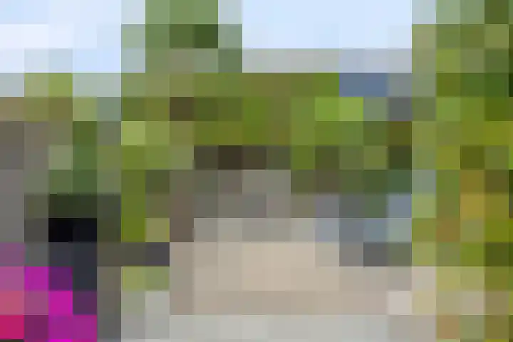 Noardkamp 1 Bakkeveen thumbnail 45