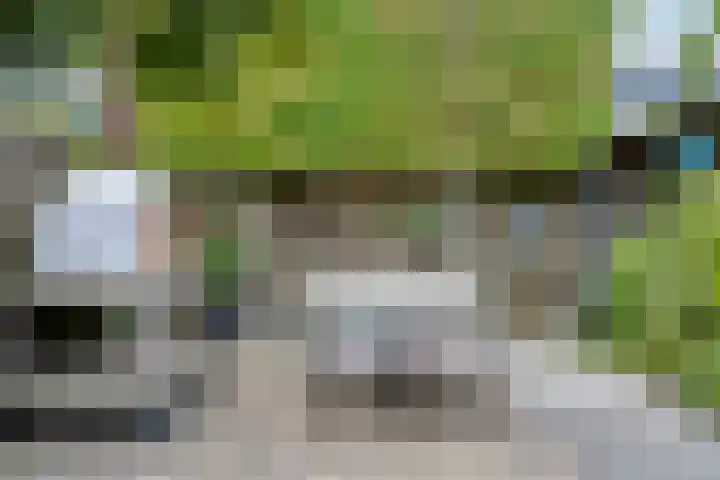 Noardkamp 1 Bakkeveen thumbnail 46