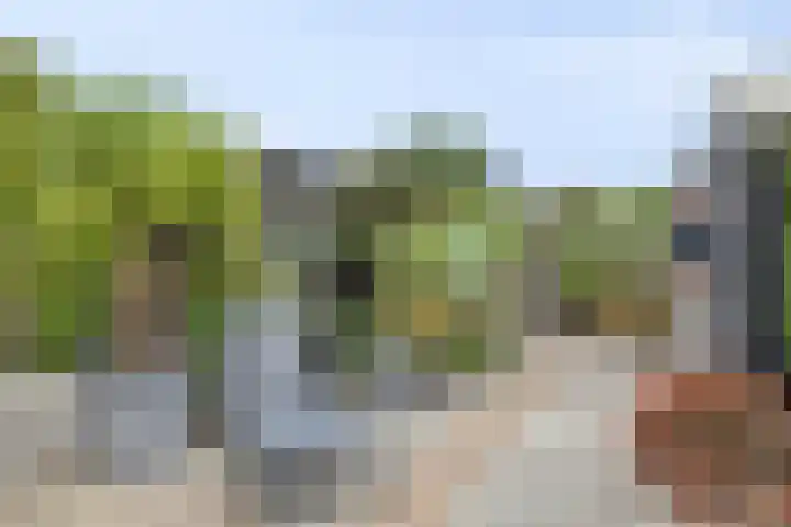 Noardkamp 1 Bakkeveen thumbnail 47