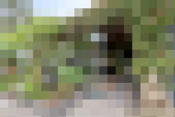 Noardkamp 1 Bakkeveen thumbnail 53