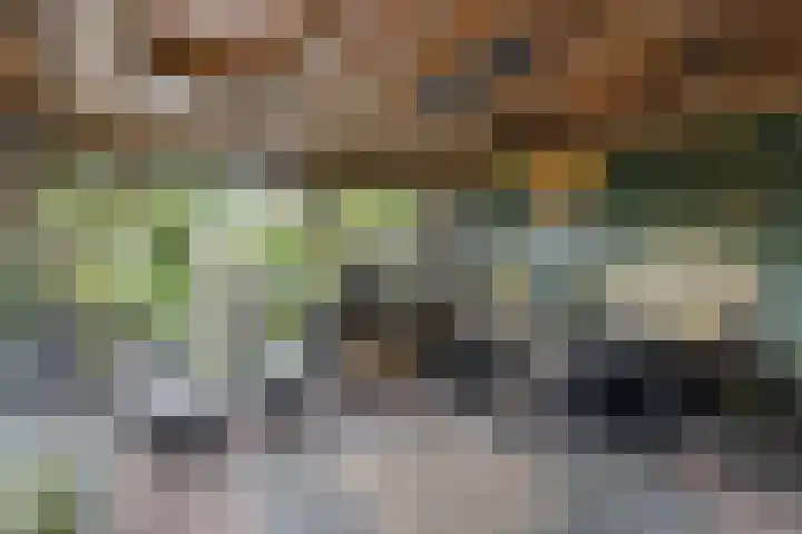 Noardkamp 1 Bakkeveen thumbnail 54
