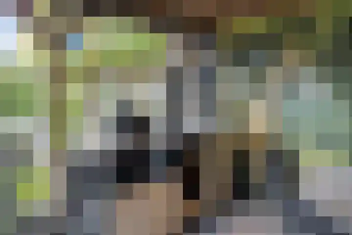 Noardkamp 1 Bakkeveen thumbnail 55