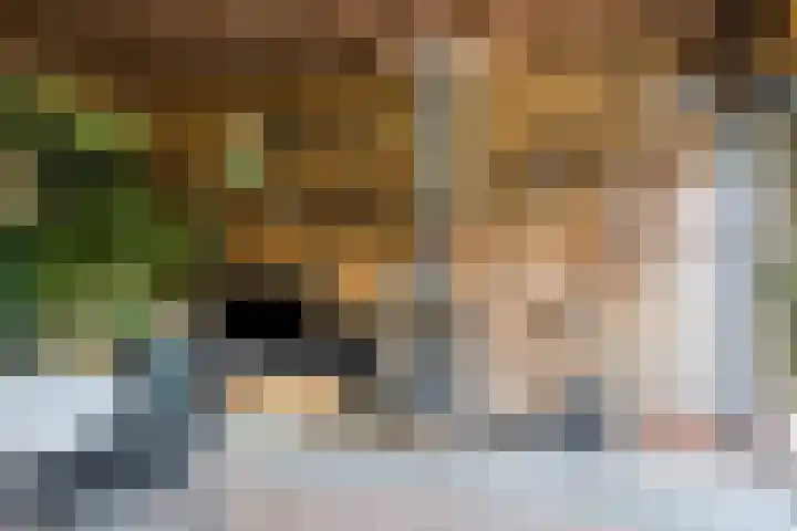 Noardkamp 1 Bakkeveen thumbnail 57