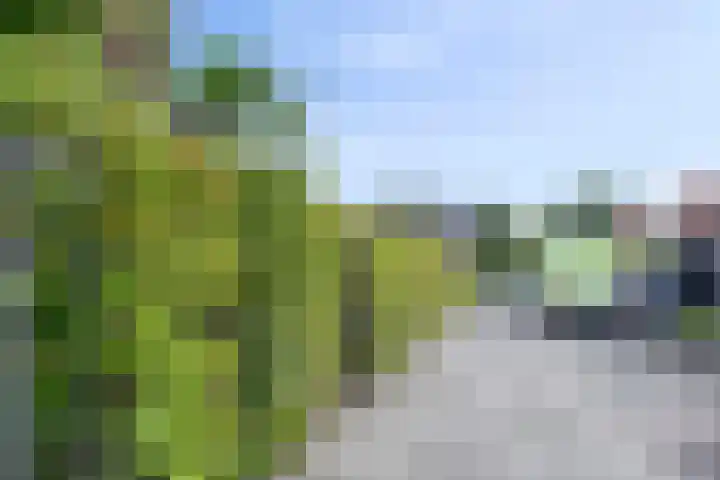 Noardkamp 1 Bakkeveen thumbnail 68