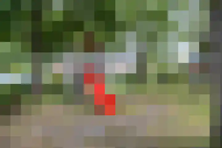 Noardkamp 1 Bakkeveen thumbnail 69